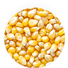 穀物牛のイメージ