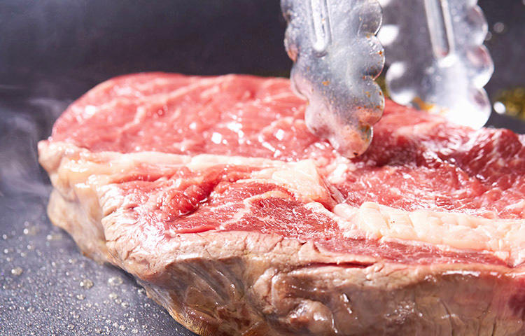 メディアも注目