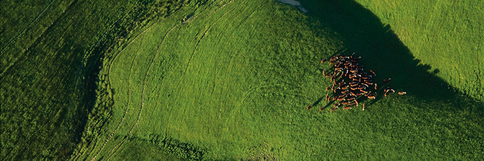 ニュージーランド イメージ PC用