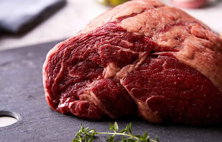 牧草牛の栄養素 イメージ SP用