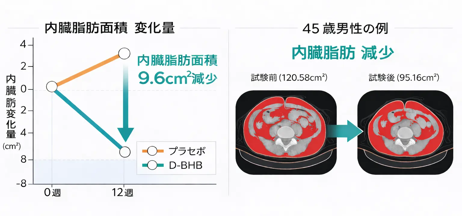 D-BHBを1日2.9g、12週間摂取した結果、内臓脂肪が有意に減少