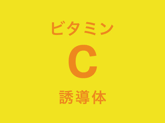 商品の特徴３