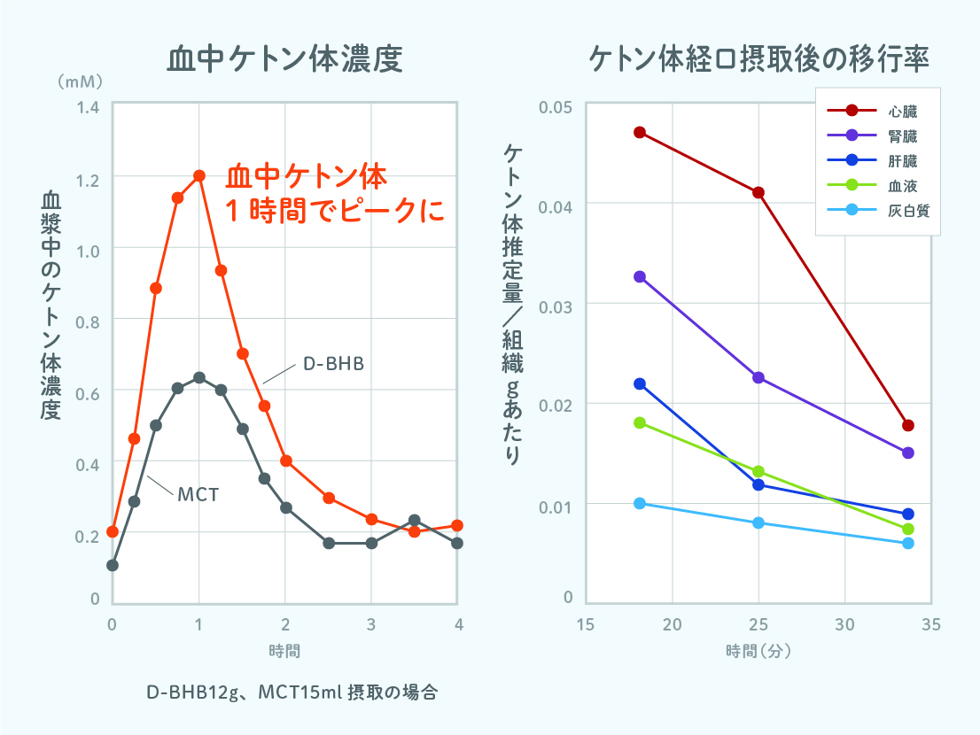 定期KETOSHOT（ケト・ショット）1箱10包x3箱|mdストア